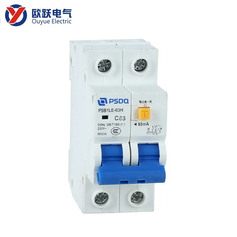 DZ40 2Pole Earth Leaker Circuit Breaker
